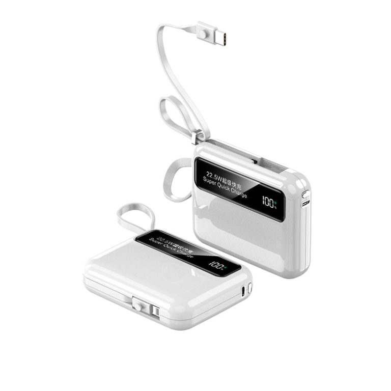 Power Bank 10000mAh-1